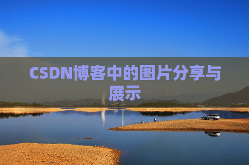 CSDN博客中的图片分享与展示